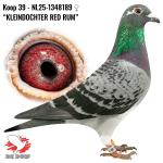 NL25-1348189