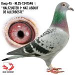 NL25-1347546