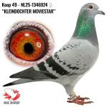 NL25-1346924