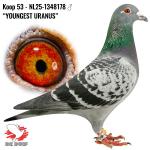NL25-1348178