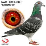 NL25-1348186 NL25-1348186
