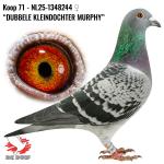 NL25-1348244