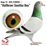 B25-4189591 B25-4189591