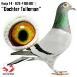 B25-4189587 B25-4189587