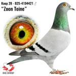 B25-4194421 B25-4194421