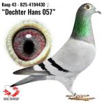 B25-4194430 B25-4194430