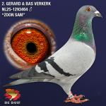 NL25-1293464