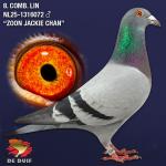 NL25-1316072