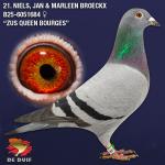B25-6051684 B25-6051684