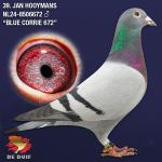 NL24-8506672 NL24-8506672