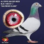NL25-1495107 NL25-1495107