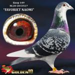 NL20-2033517 NL20-2033517