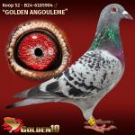 B24-6185904 B24-6185904