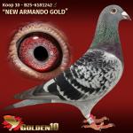 B25-6181242 B25-6181242