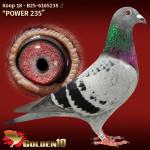 B25-6165235 B25-6165235