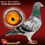 NL25-1413679 NL25-1413679