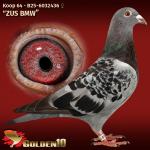 B25-6032436 B25-6032436