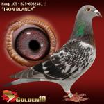 B25-6032481 B25-6032481