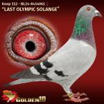 NL24-8414061 NL24-8414061