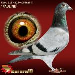 B25-4055626 B25-4055626