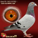 NL25-1317951