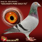 B25-2014752 B25-2014752