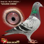 NL25-1382544 NL25-1382544