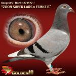 NL25-1271572 NL25-1271572