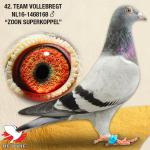 Team Vollebregt, NL16-1468168