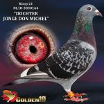NL18-3830164 “DOCHTER JONGE DON MICHEL”