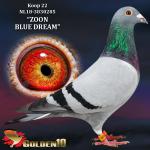 NL18-3830285 “ZOON BLUE DREAM”