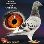 B18-6085272 “ZUS POWER GIRL”
