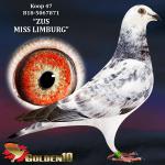 B18-5067871 “ZUS MISS LIMBURG”