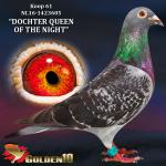 NL16-1423605 “DOCHTER QUEEN OF THE NIGHT”