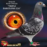 NL18-1787226 “TRIPLE BARCELONA 226”