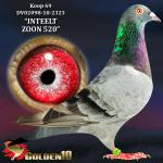 DV02098-18-2323 “INTEELT ZOON 520”