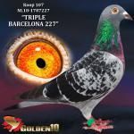 NL18-1787227 “TRIPLE BARCELONA 227”