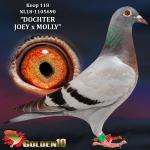 NL18-1105690 “DOCHTER JOEY x MOLLY”