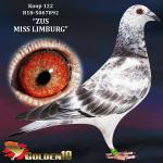 B18-5067892 “ZUS MISS LIMBURG”