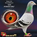 B18-6085223 “ZUS POWER GIRL”