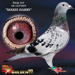 NL18-1227069 “NIKKIE HARRY”