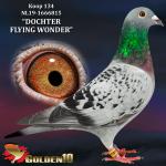 NL19-1666815