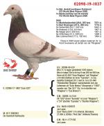 02098-19-1037 (father)