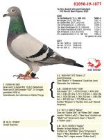 02098-19-1077 (mother)