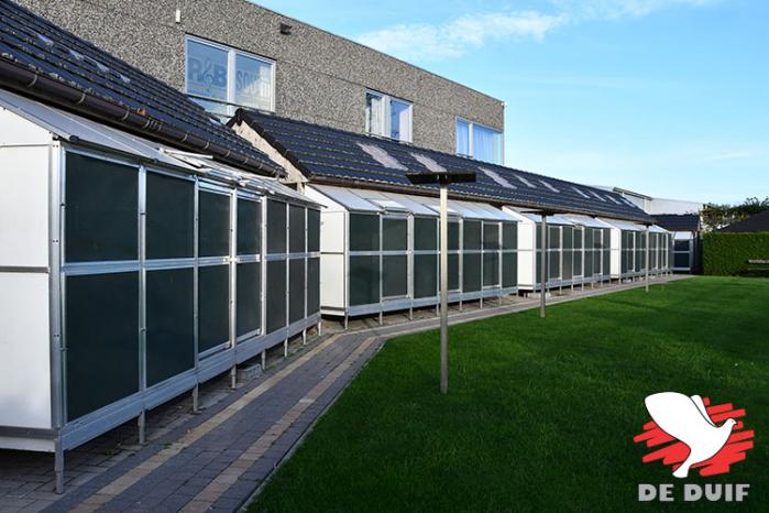 De hokken van Ivan Baetens te Sint-Niklaas.