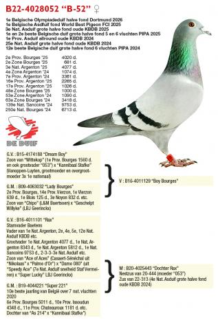 B22-4028052 “B-52”