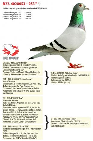 B22-4028053 “053”