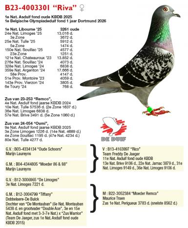 B23-4003301 “Riva”