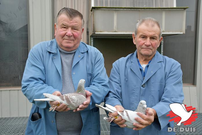 Willy Servranckx en Pierre Beyl hadden de 1e Nationale Asduif Snelheid jonge duiven op de kooi.