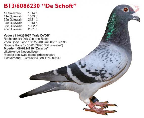 B13-6086230 De Schoft